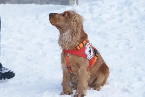 Gina wartet auf ihren Einsatz