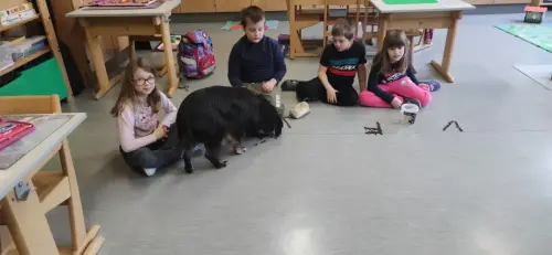 Beo beim Buchstaben auffressen