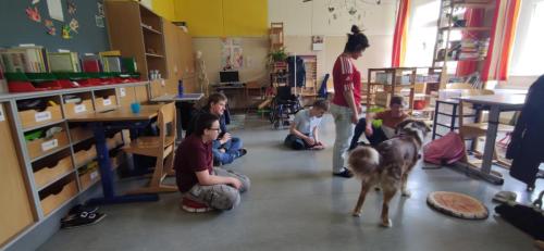 IMG_20230427_125607 (1)