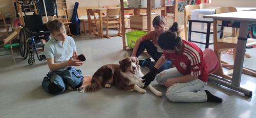 Coco Bella wird von den Schülern der 2 M mit einem Bürsthandschuh gestreichelt