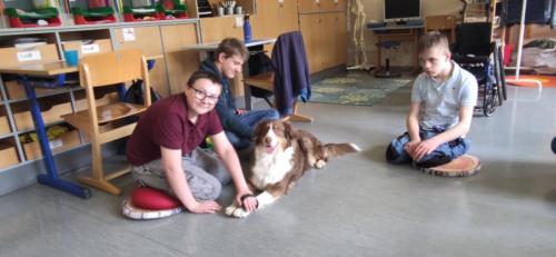 IMG_20230427_130943 (1)